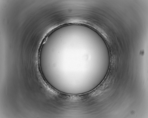 X0000099560848200805161451