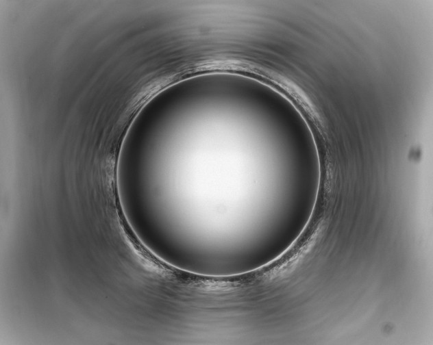 X0000099560849200805161451