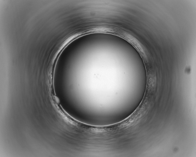 X0000099560852200805161451