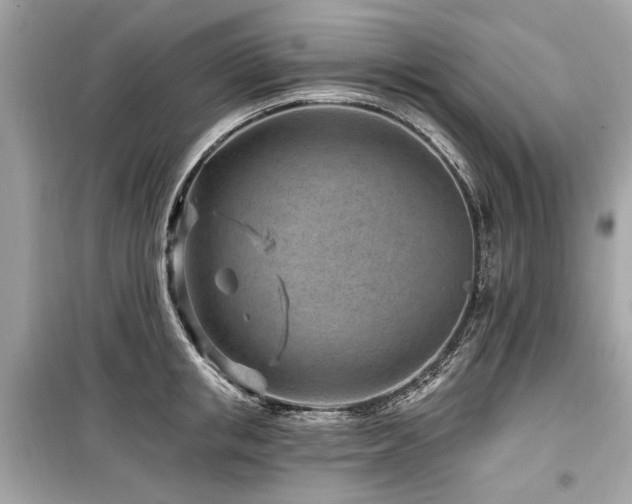 X0000099560853200805161451