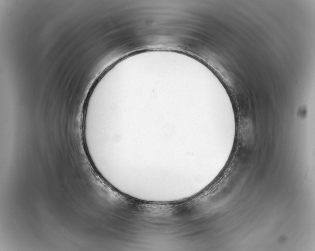 X0000099560856200805161451