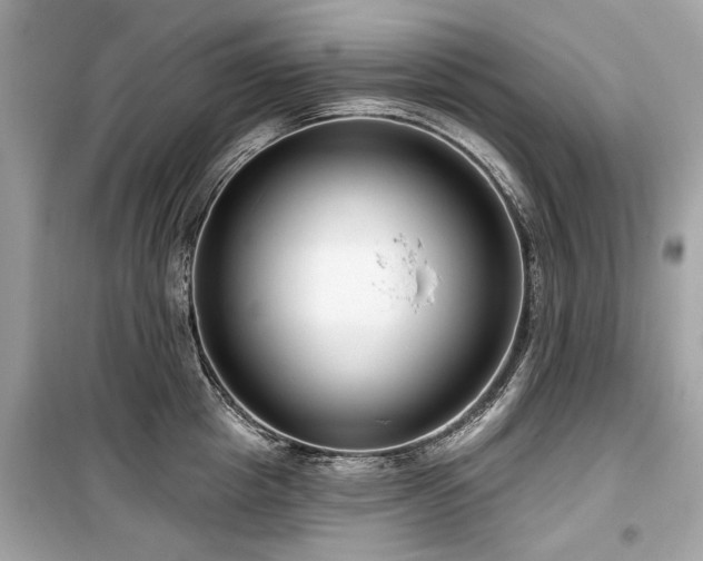 X0000099560857200805161451