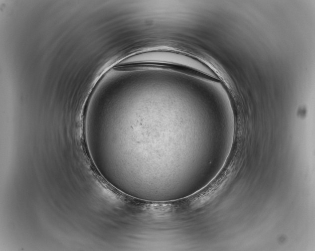 X0000099560858200805161451