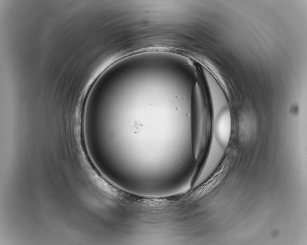 X0000099560859200805161451