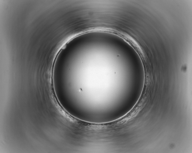 X0000099560860200805161451