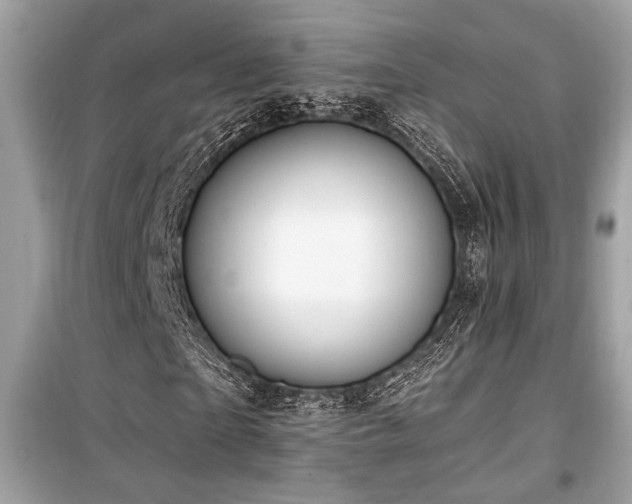 X0000099560865200805161450