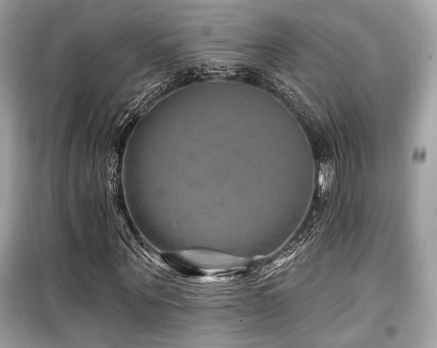 X0000099560867200805161450