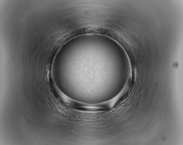 X0000099560868200805161450