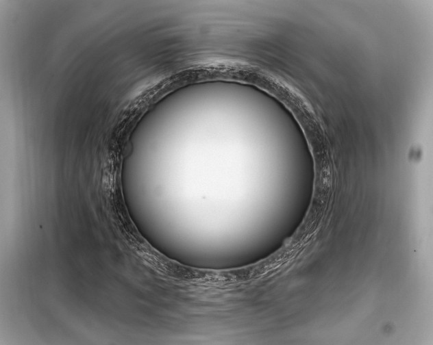 X0000099560869200805161450