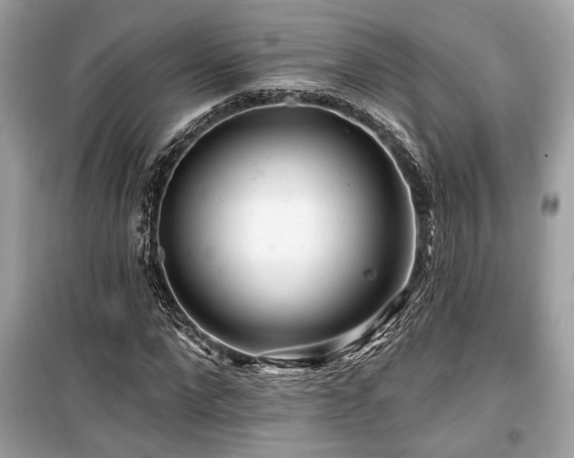 X0000099560872200805161450