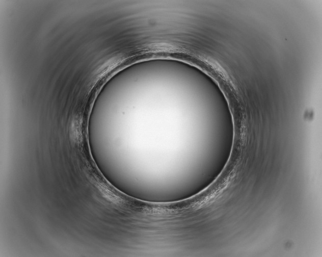 X0000099560873200805161450