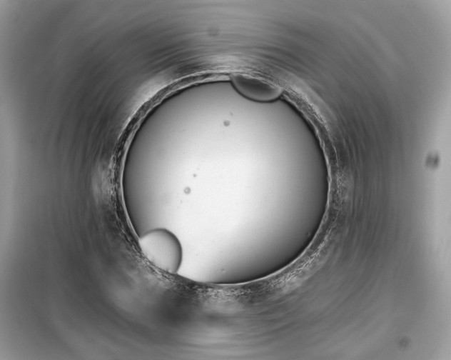 X0000099560875200805161450