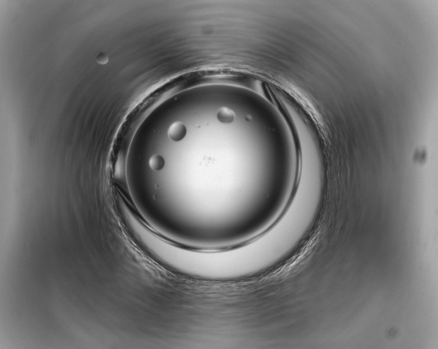 X0000099560876200805161450