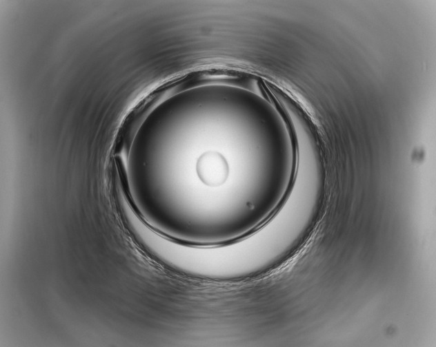 X0000099560877200805161450