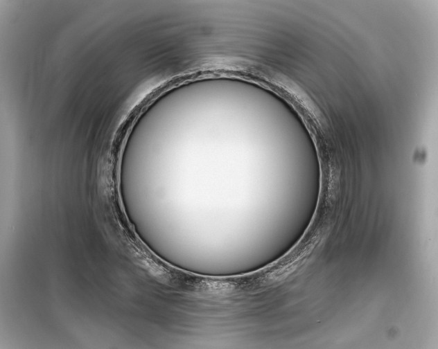 X0000099560878200805161450