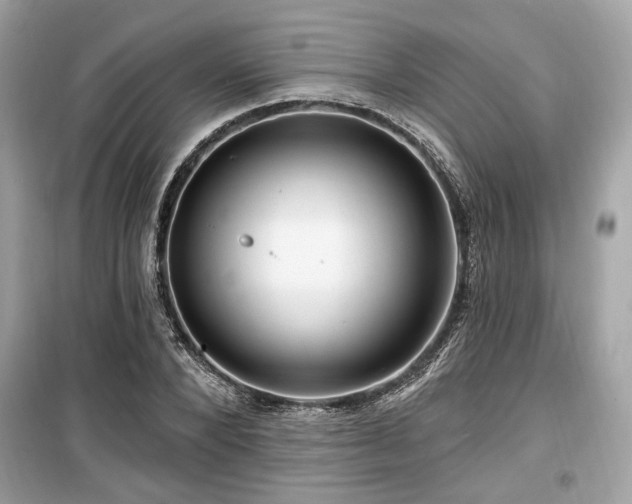 X0000099560880200805161450