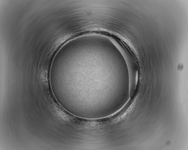 X0000099560881200805161450