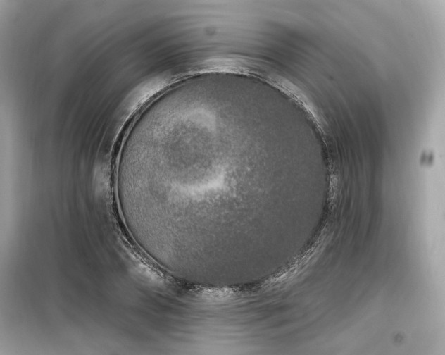 X0000099560882200805161450