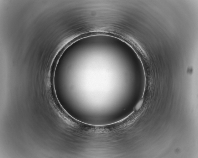 X0000099560884200805161450