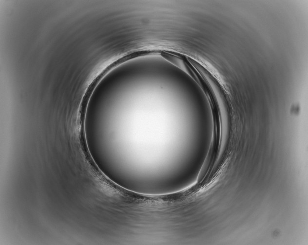 X0000099560885200805161450