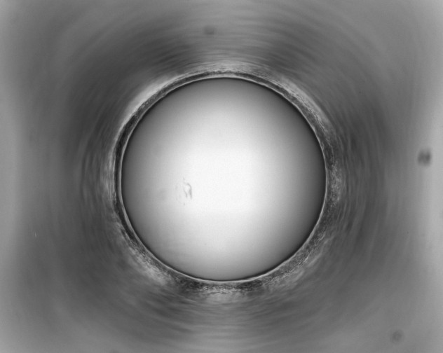 X0000099560886200805161450