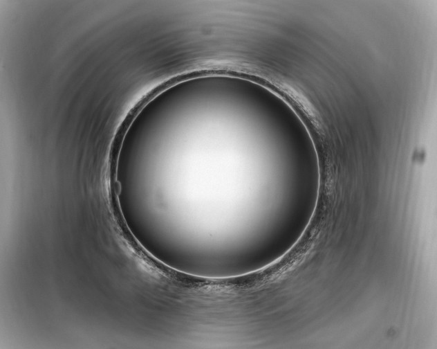 X0000099560888200805161450