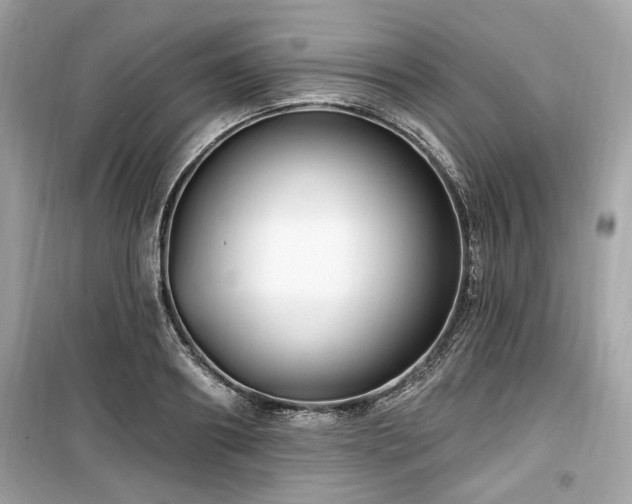 X0000099560890200805161450