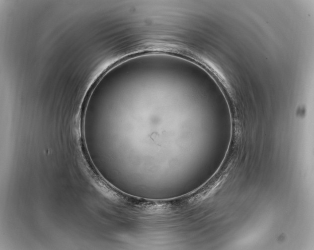 X0000099560891200805161450