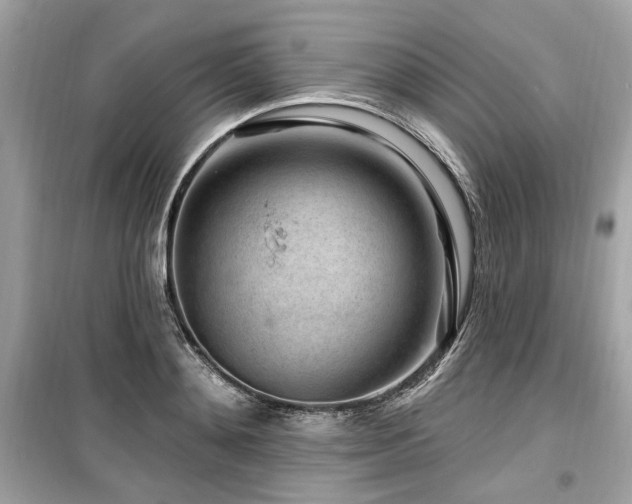 X0000099560892200805161450