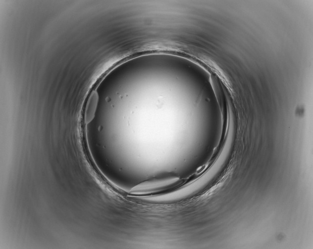 X0000099560893200805161450