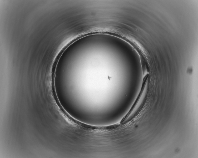 X0000099560894200805161449