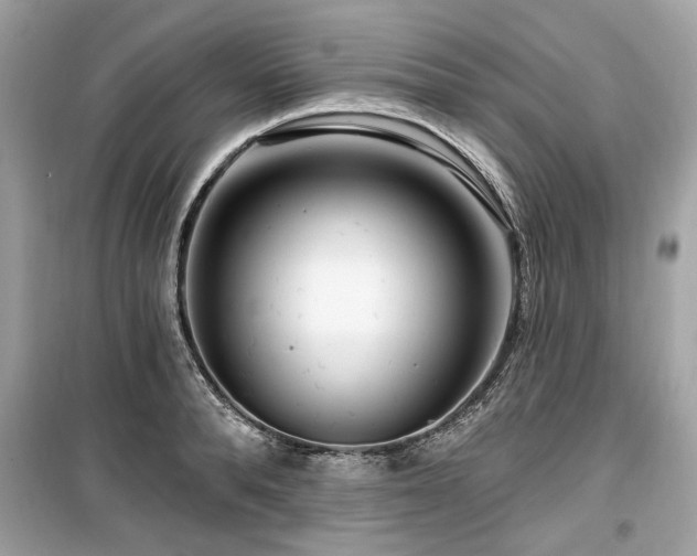 X0000099560896200805161449