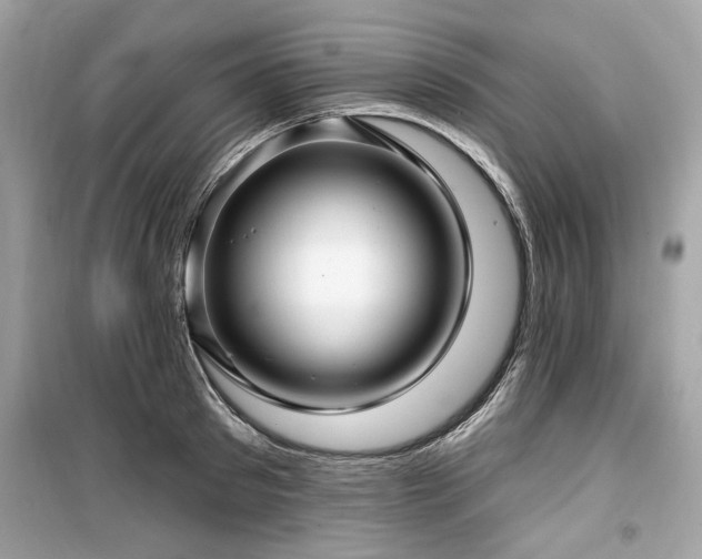 X0000099560897200805161449