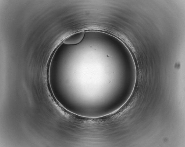 X0000099560898200805161449