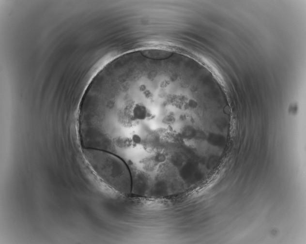 X0000099560899200805161449