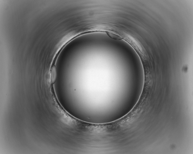 X0000099560900200805161449