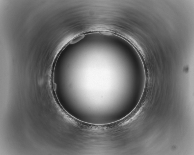 X0000099560901200805161449