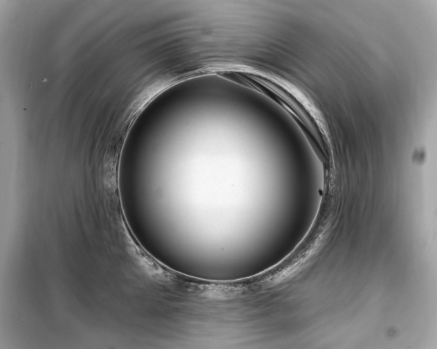 X0000099560905200805161449