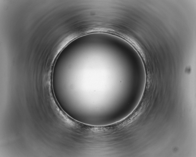 X0000099560906200805161449