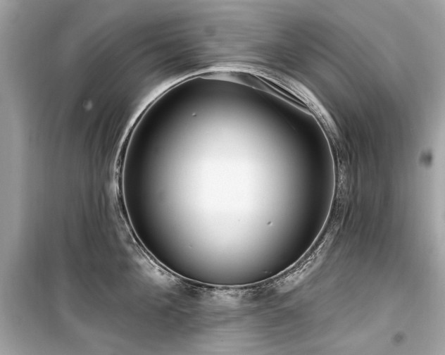 X0000099560908200805161449