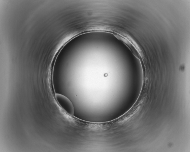 X0000099560909200805161449