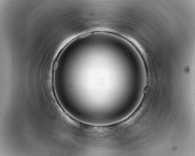 X0000099560910200805161449