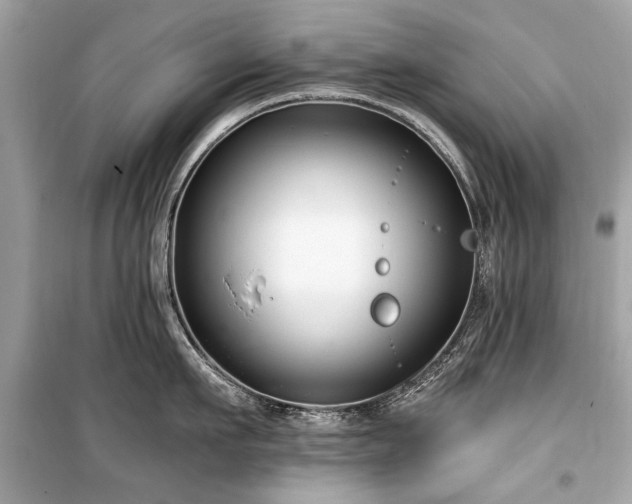 X0000099560911200805161449