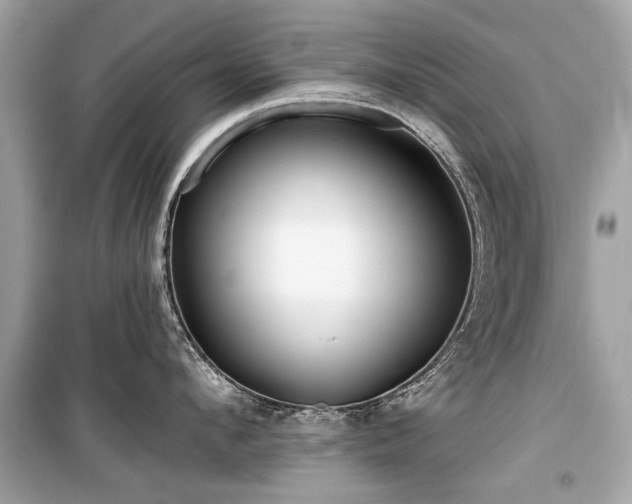 X0000099560912200805161449