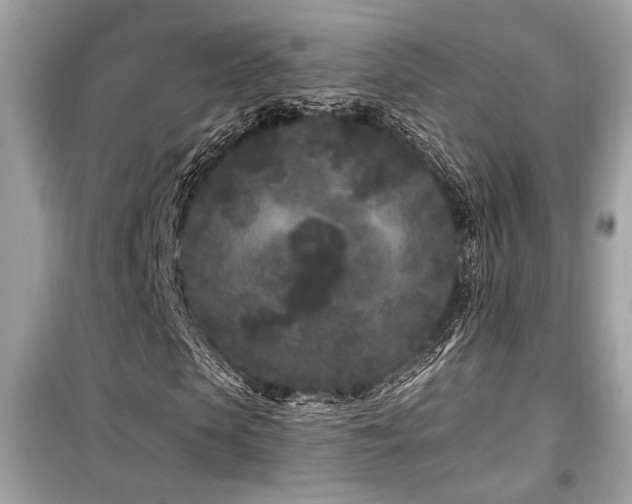 X0000099560913200805161448