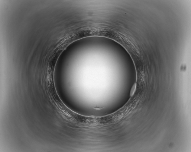 X0000099560914200805161448