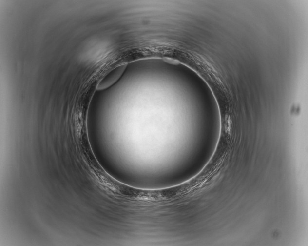 X0000099560915200805161448