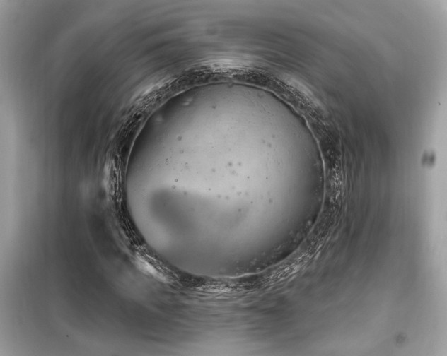 X0000099560917200805161448