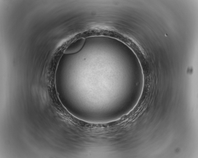 X0000099560919200805161448