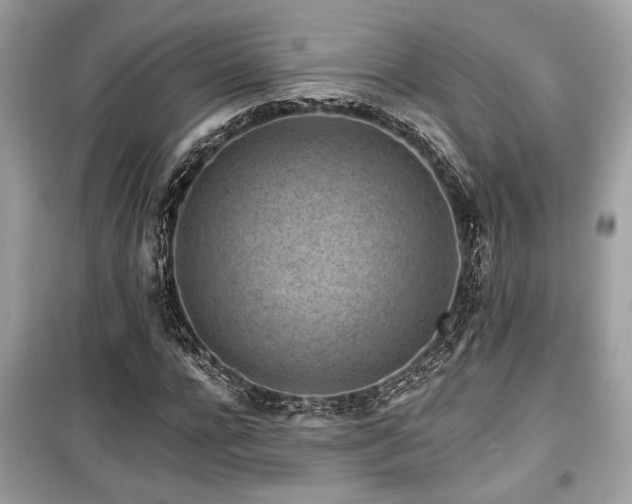 X0000099560920200805161448